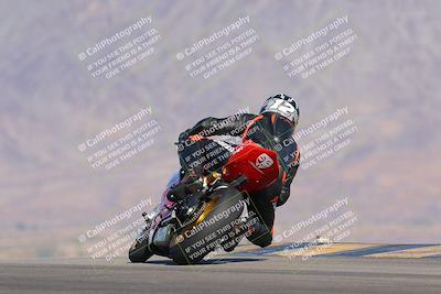 media/Nov-12-2023-SoCal Trackdays (Sun) [[5d1fba4e7d]]/Turn 9 Backside (1015am)/